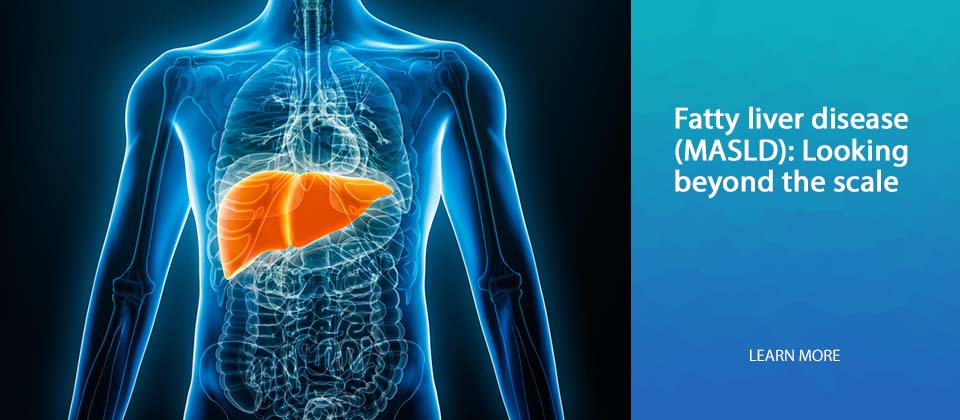 The liver is highlighted in orange in an illustration of the anatomy of a human torso