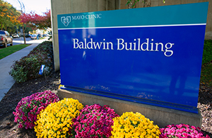 Baldwin Building