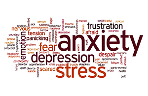 ECH_AnxiousStress_widget