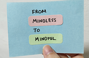 MindlessMindful